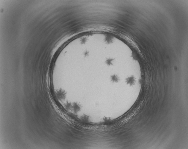 X0000060570936200512011704
