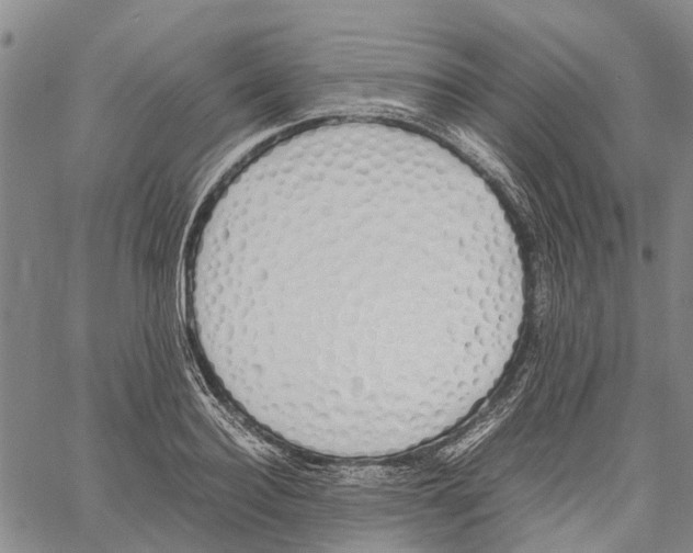 X0000060570940200512011704