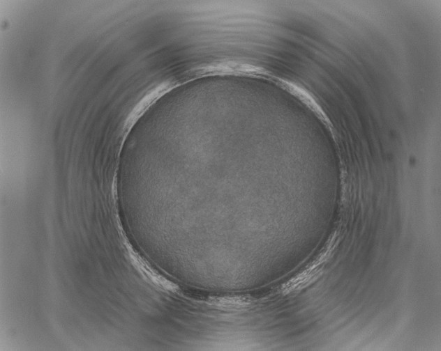 X0000060570946200512011704