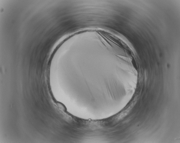 X0000060570958200512011704