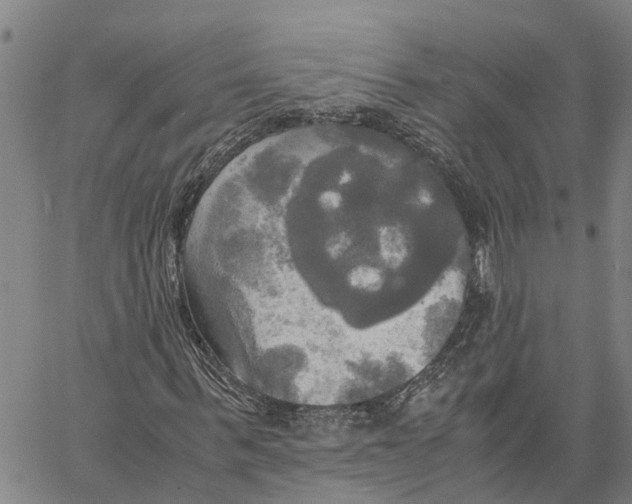X0000060570963200512011703