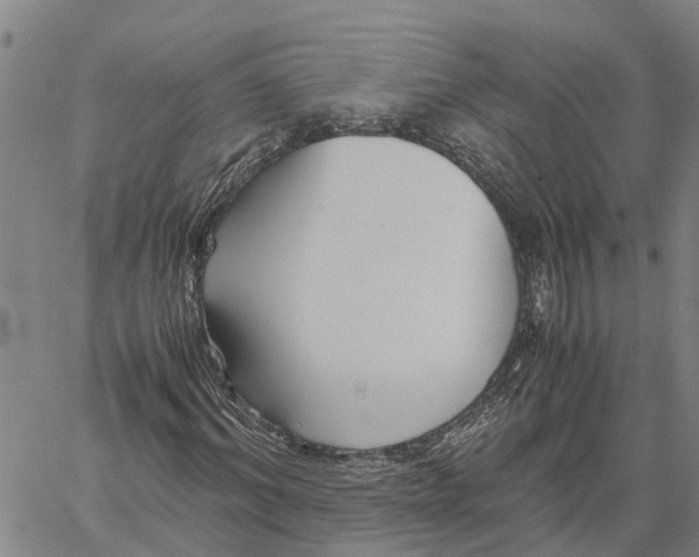 X0000060570964200512011703