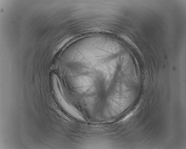 X0000060570969200512011703
