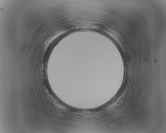 X0000060570971200512011703
