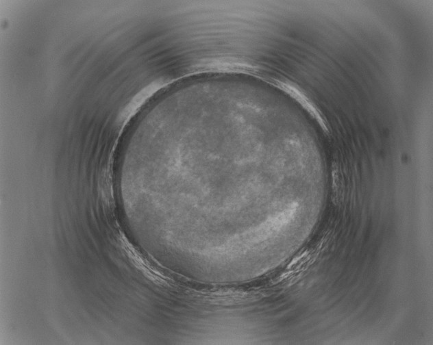 X0000060570972200512011703