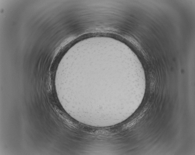 X0000060570974200512011703