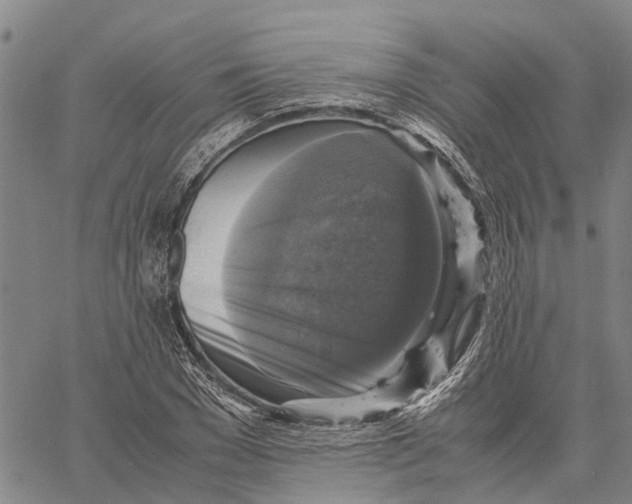 X0000060570977200512011703