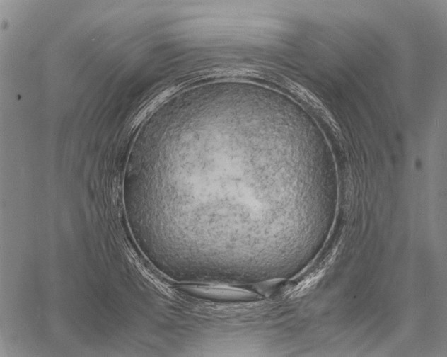 X0000060570985200512011703