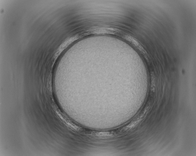 X0000060570986200512011703