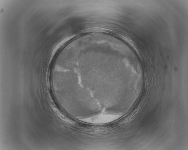 X0000060570987200512011703