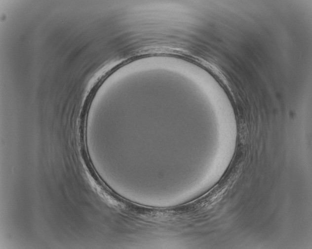 X0000060570995200512011703