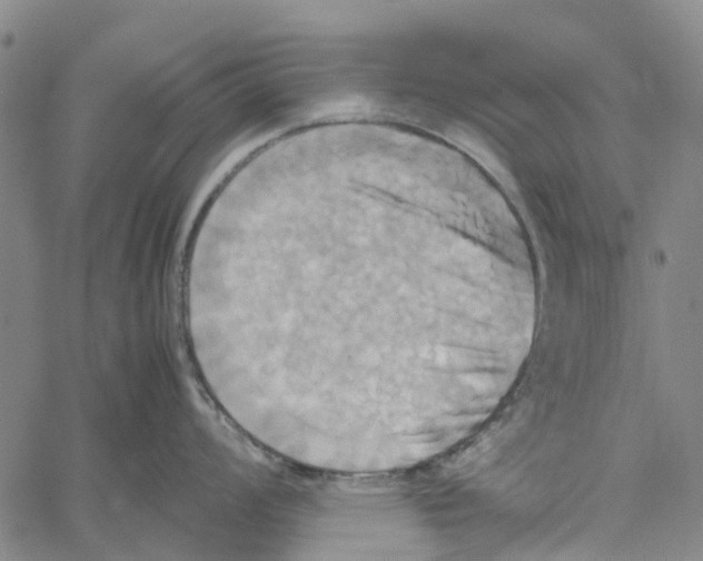 X0000060571008200512011702