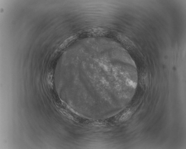 X0000060571010200512011702