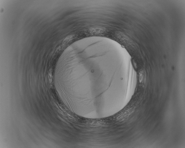 X0000060571011200512011702
