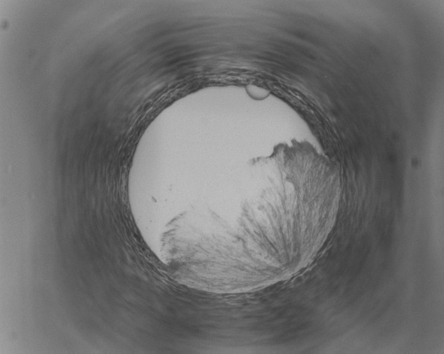 X0000060571013200512011702