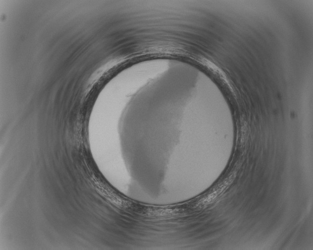 X0000060571019200512011702