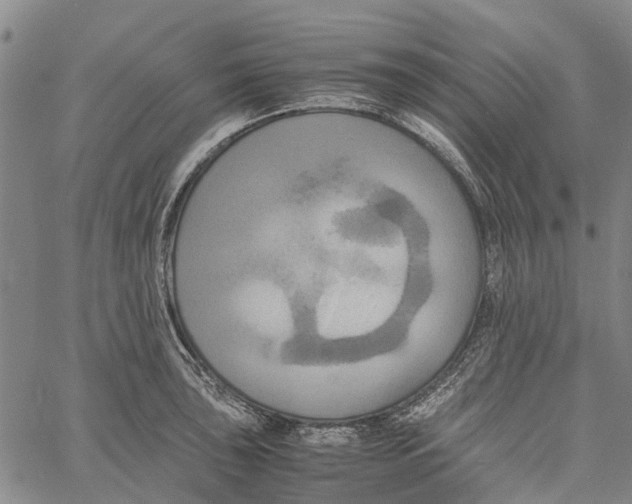 X0000060571043200512011702