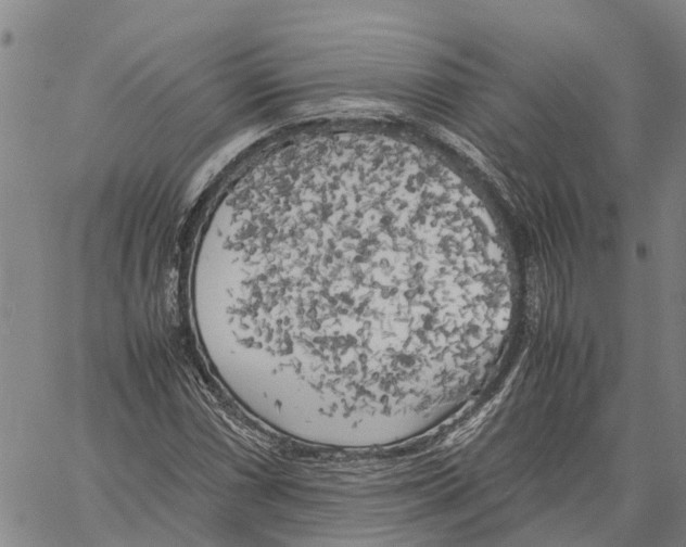 X0000060571066200512011701