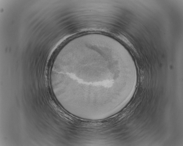 X0000060571068200512011701