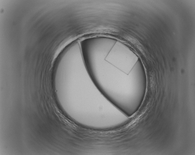 X0000060571069200512011701
