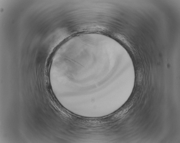 X0000060571071200512011701