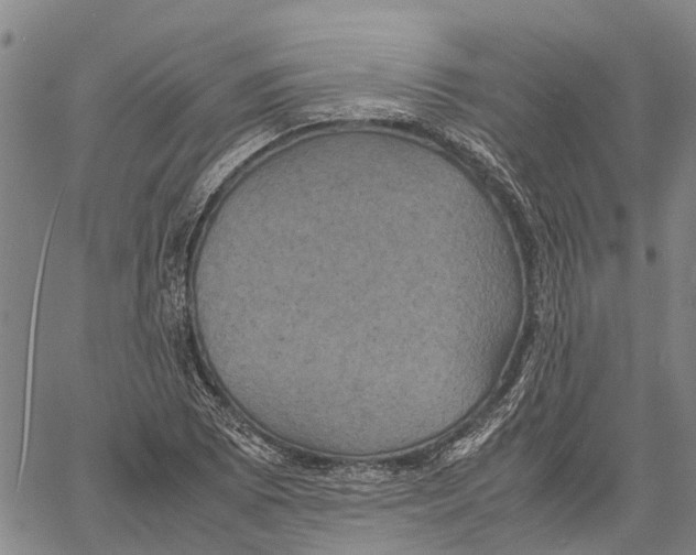 X0000060571073200512011701