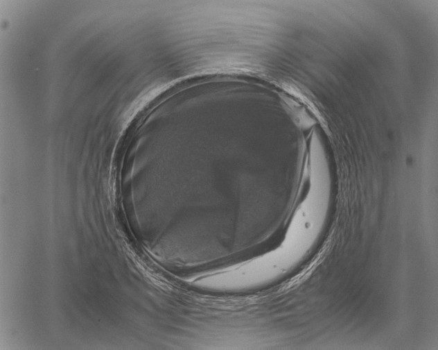 X0000060571077200512011701