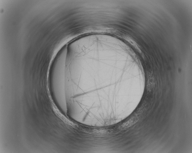 X0000060571080200512011701