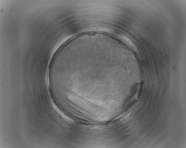 X0000060571084200512011701