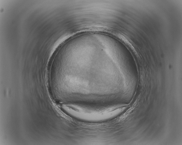 X0000060571085200512011701