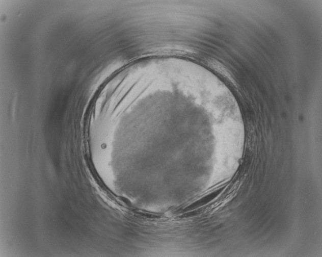 X0000060571087200512011701