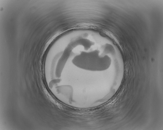 X0000060571091200512011701