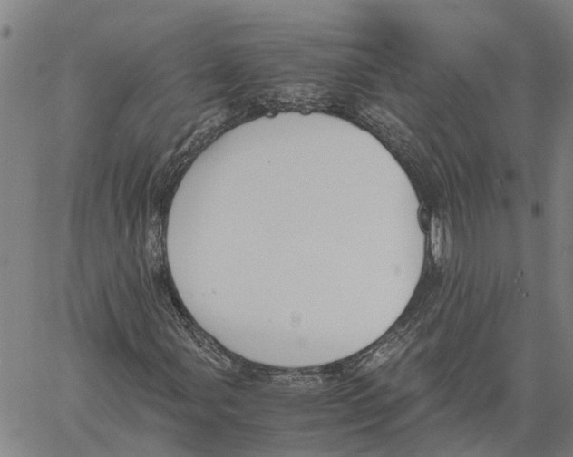 X0000060571107200512011700