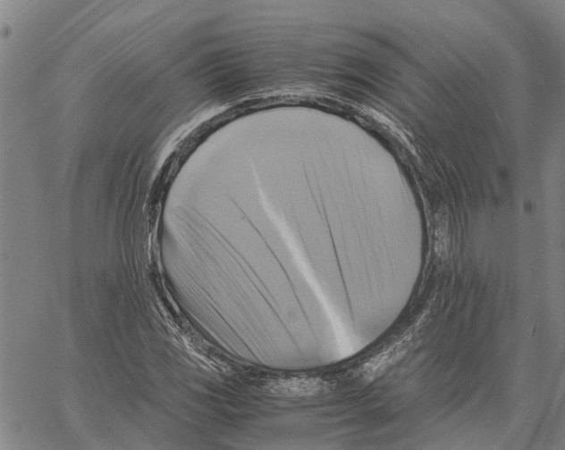 X0000060571117200512011700