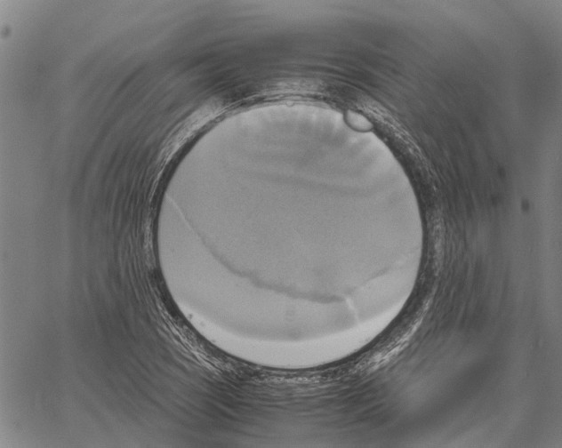 X0000060571121200512011700