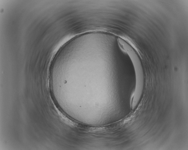 X0000060571143200512011701