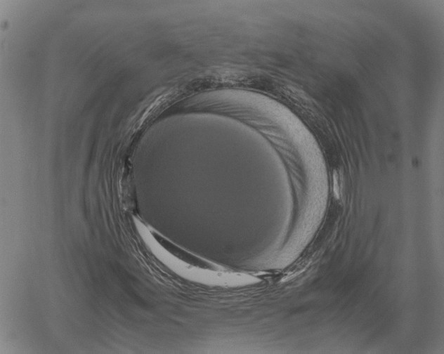 X0000060571155200512011700
