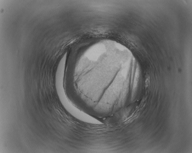 X0000060571156200512011700