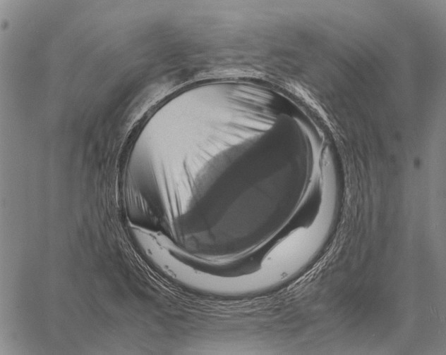 X0000060571173200512011700