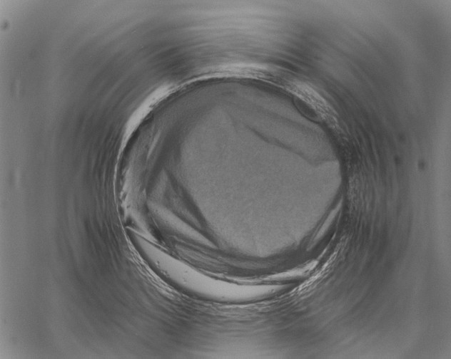 X0000060571180200512011659