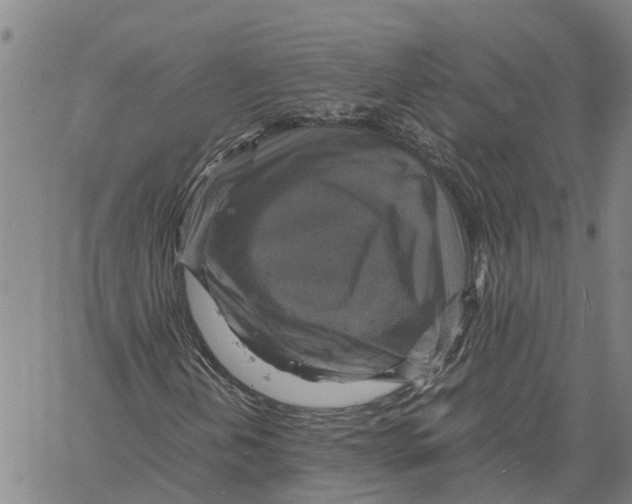 X0000060571202200512011658