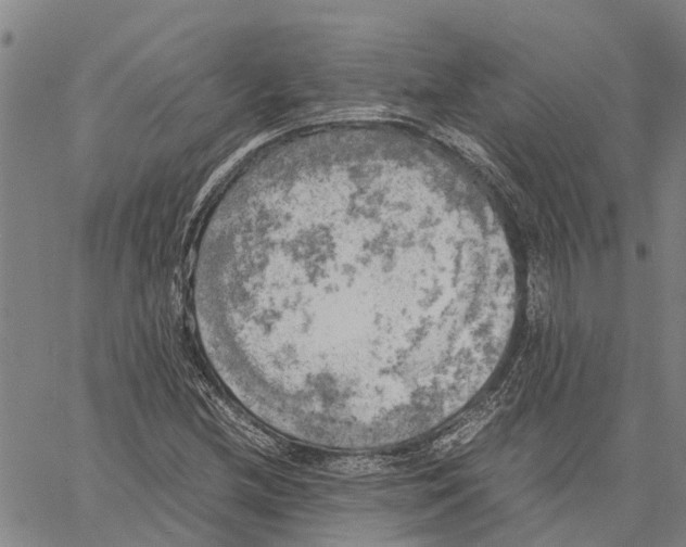X0000060571212200512011659