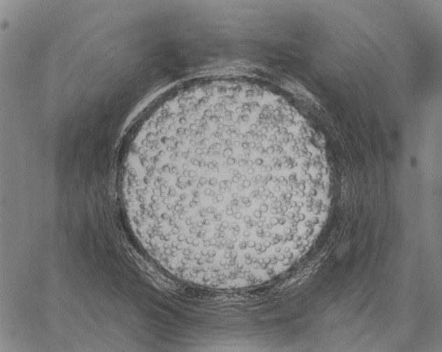 X0000060571216200512011659