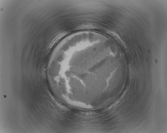 X0000060571225200512011659