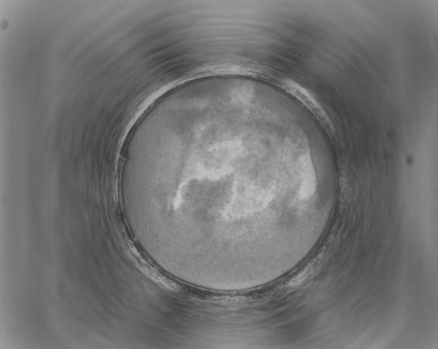 X0000060571236200512011659