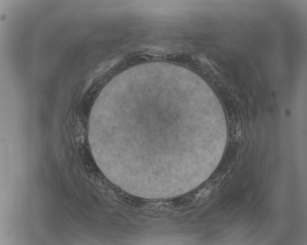 X0000060571253200512011658