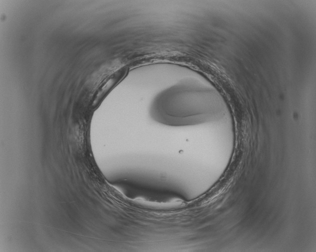 X0000060571257200512011658