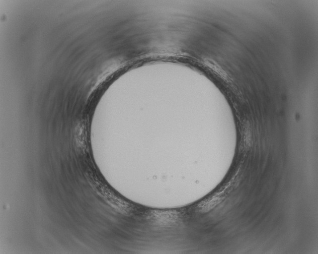 X0000060571258200512011658