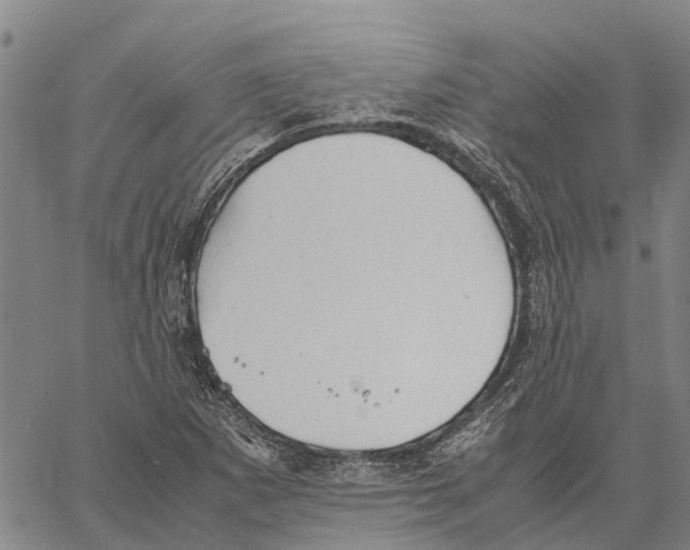 X0000060571265200512011658