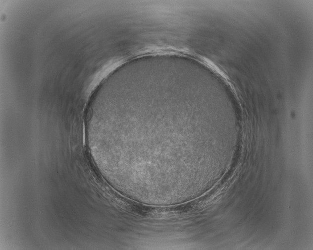 X0000060571269200512011658